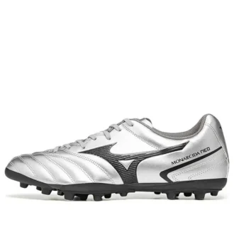 Monarcida Neo II Select AG “Silver Grey”