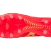 Morelia Neo IV Beta Japan “Red Gold”